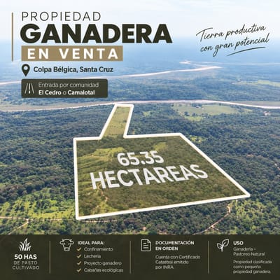 EN VENTA | PROPIEDAD GANADERA EN COLPA BELGICA