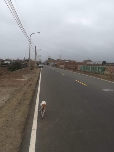 Propietario vende terreno urbano en Huacho Amay 3614 m2 - 650520 dolares