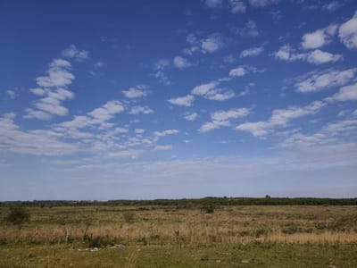 Vendo Estancia En Misiones