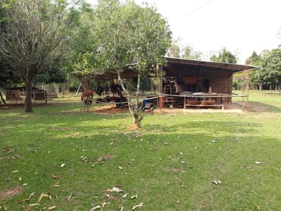 VENDO COMPO EN SAN PEDRO