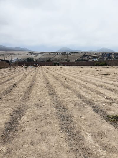 TERRENO EN VENTA 10003 M2 PANAMERICANA NORTE KM 81 - CHANCAY - HUARAL