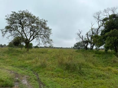 Terreno en Venta - Villa Hayes, Paraguay