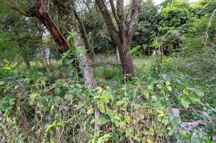 Venta de Terreno en Altos, Cordillera | ID: 51143