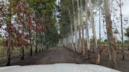 Propiedad rural en venta