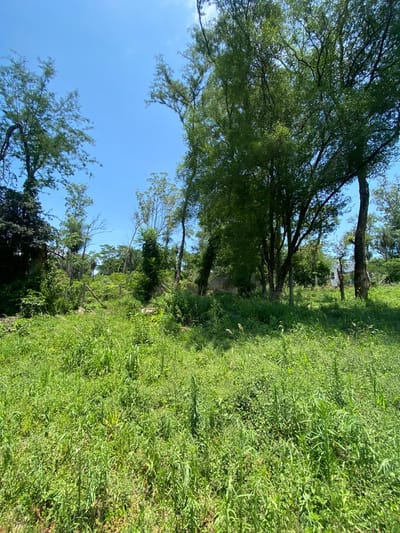 Vendo Terreno de 900 mts2. San Bernardino. COD 037 