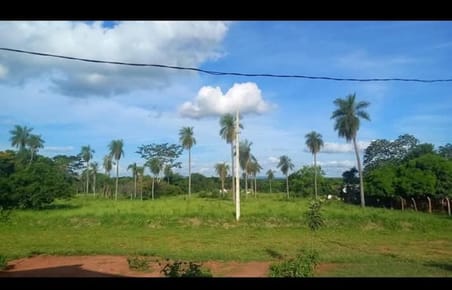 Terrenos en venta
