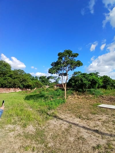 Terrenos en venta zona Norte - Valle Sanchez
