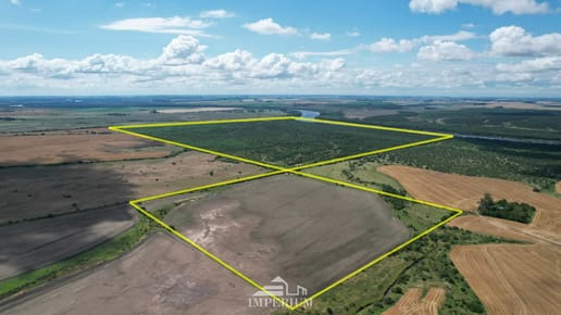Venta campo en Soriano 264 Ha
