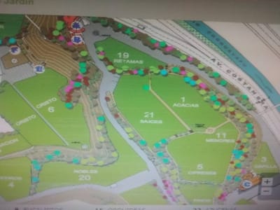 TERRENO EN CEMENTERIO JARDIN SECTOR ACACIAS 