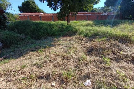 VENTA TERRENO EN VILLA ELISA Ypati 