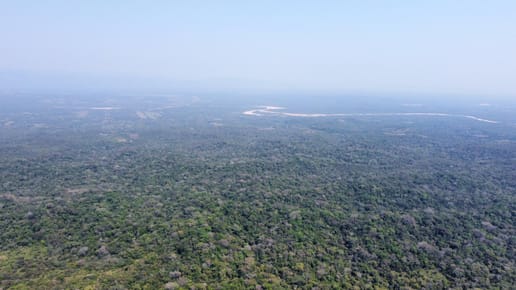 Propiedad de 33.25 hectáreas a 7 km del pueblo de Buena Vista