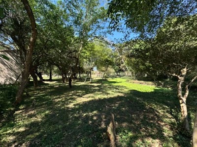 Terreno EN VENTA en San Bernardino