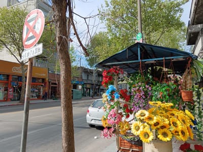 Local Comercial A Mts De Cipriano Miro Junto A Las Grands Marcas