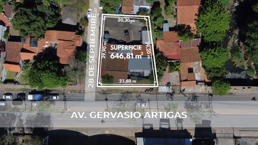 SOBRE ARTIGAS!!!