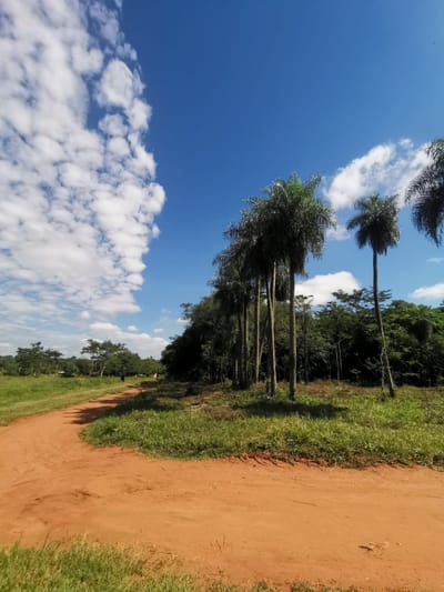 EN VENTA AMPLIO TERRENO EN ESQUINA EN ITAUGUA
