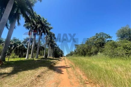 VENDO TERRENO EN NUEVA ITALIA 7533 m2