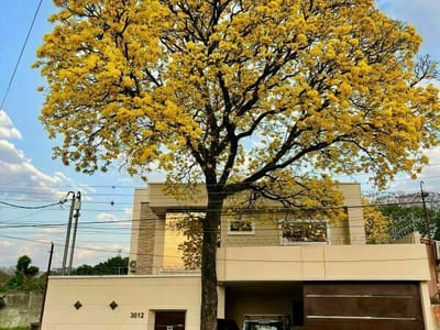 Casa Moderna En Venta Con Piscina Y 5 Ambientes - Puerto Pabla Lambaré