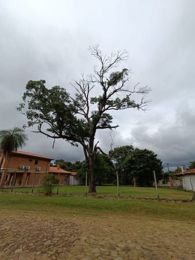 VENDO TERRENO EN SAN BERNARDINO ( COD 037) 