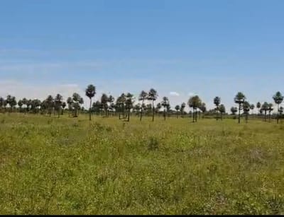 VENDO TERRENO EN CHACOI VILLA HAYES
