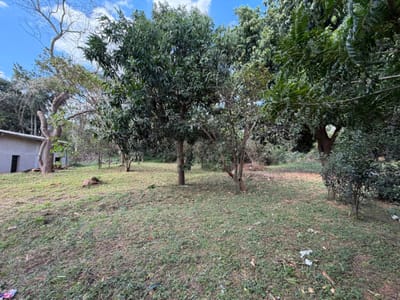 VENDO TERRENO DE 1614 M2 EN BARRIO CHACO-I YPANÉ
