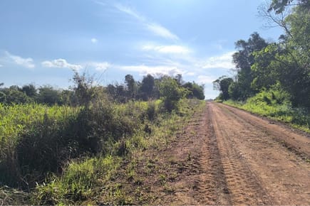 VENDO 38 HECTAREAS CAMPO EN PIRAPÓ, ITAPÚA