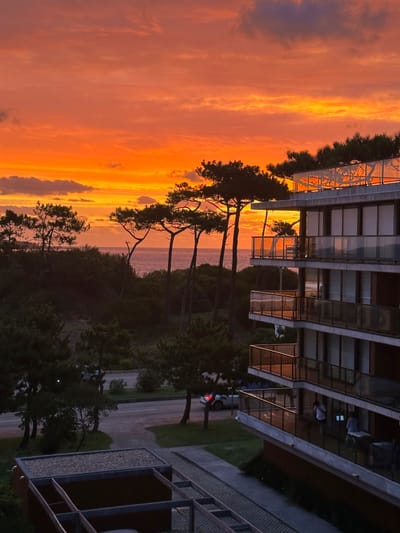 Mejor Ubicación En Punta Del Este: Frente Al Mar, 3 Dorms, Cochera