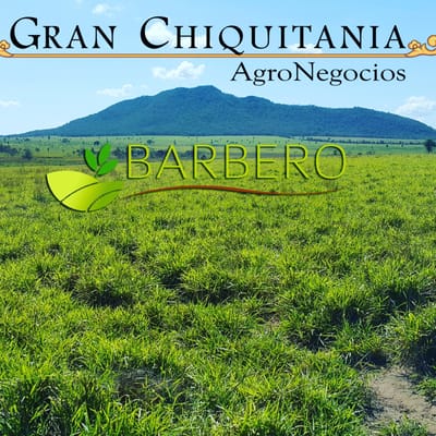 BARBERO AGRONEGOCIOS VENDE TUNAS 1000 HA