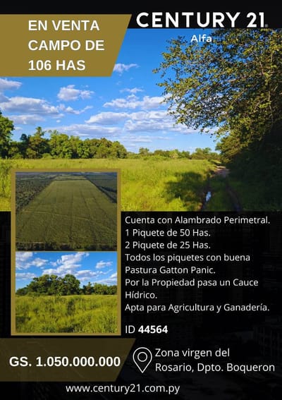 VENDO ESTANCIA EN NEULAND