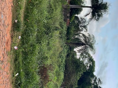 Terreno en venta | Barrio Salinas, Ñemby