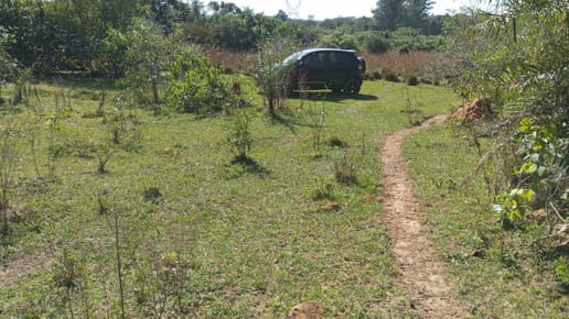 VENDO PROPIEDAD EN ITACURUBI DE LA CORDILLERA  VENDO PROPIEDAD RURA