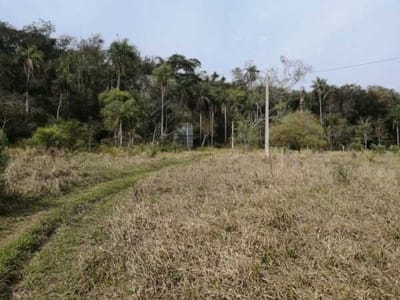 VENDO CAMPO DE 13 HECTAREAS EN PIRIBEBUY