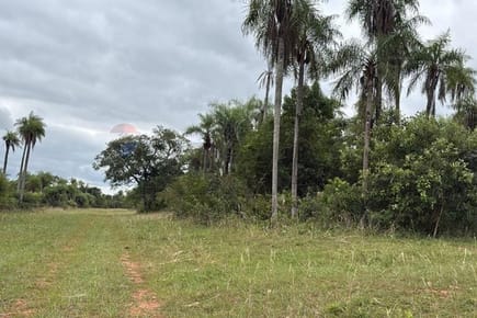 En Venta Terreno Caacupé