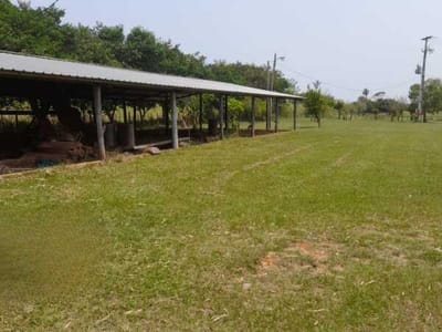 VENDO PROPIEDAD RURAL EN VILLETA! GRANJA DE 8 HA. 