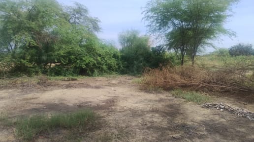 TERRENO EN VENTA  LOS EJIDOS POR EL REMANSO -PIURA