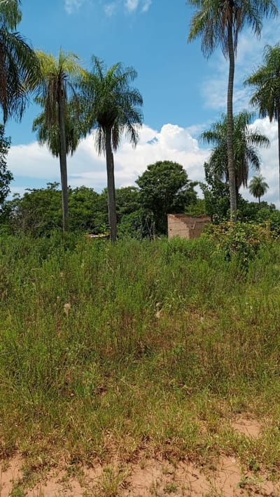 Terreno-venta-loma Grande-cordillera