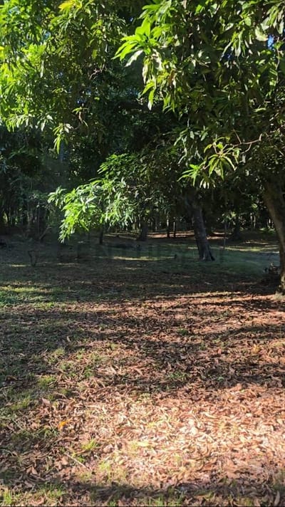 Venta de Terreno en San Bernardino, Cordillera