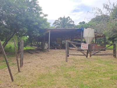 Granja de Pollos entre Pedro Lorenzo y Peji