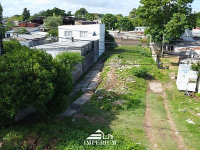 Espectacular Terreno en Jardines del Hipodromo 444 m²