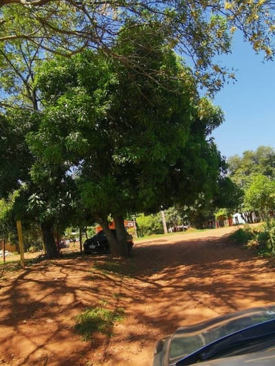 Venta de Terreno en Limpio, Central