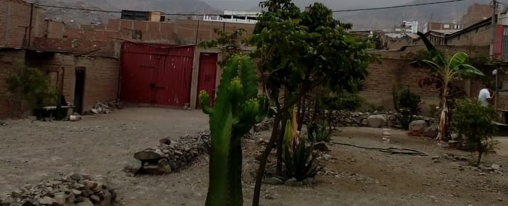 TERRENO 2500 MT2 SJL JICAMARCA LIMA PERU