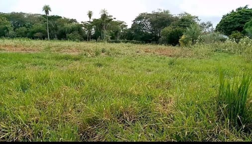 VENDO TERRENO EN VILLETA
