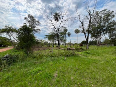 Vendo 6 lotes en Eusebio Ayala, Cordillera - Fracción Los Olivos.