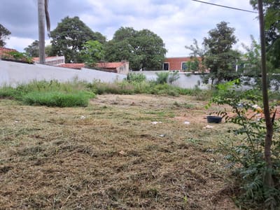 VENDO TERRENO LUQUE LOMA MERLO-24X35