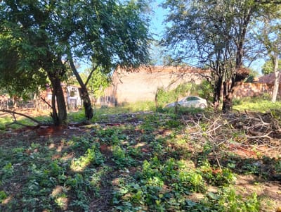 Terreno en venta en Limpio, Don Bosco