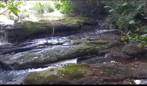 VENTA DE PROPIEDAD DE 5 HECTAREAS EN CHOLOLO PIRIBEBUY