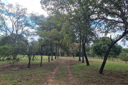 TERRENO 8 HECTAREAS VENTA ZONA DE CAACUPE