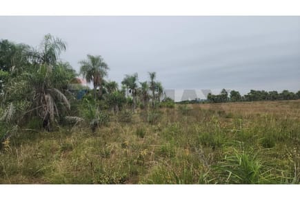 Terreno - Venta - Ypacaraí, Central, Paraguay