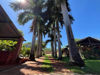 ALQUILO HERMOSA Y AMPLIA CASA QUINTA EN CAPIATÁ