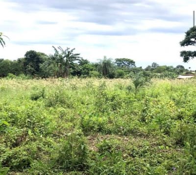 EN VENTA 2.7 HECTÁREAS EN ENCARNACION ITAPUA 