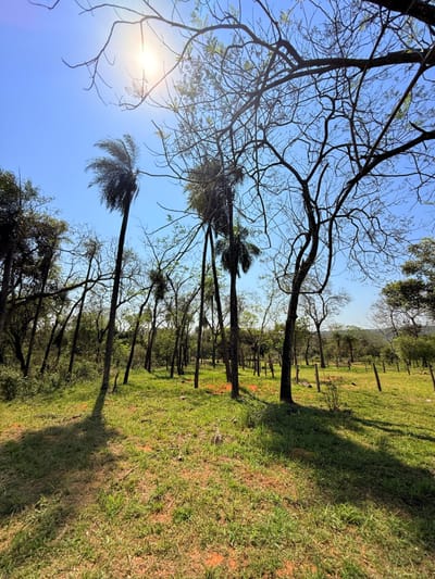 EN VENTA AMPLIO TERRENO EN SAN BERNARDINO ZONA CIERVO CUA